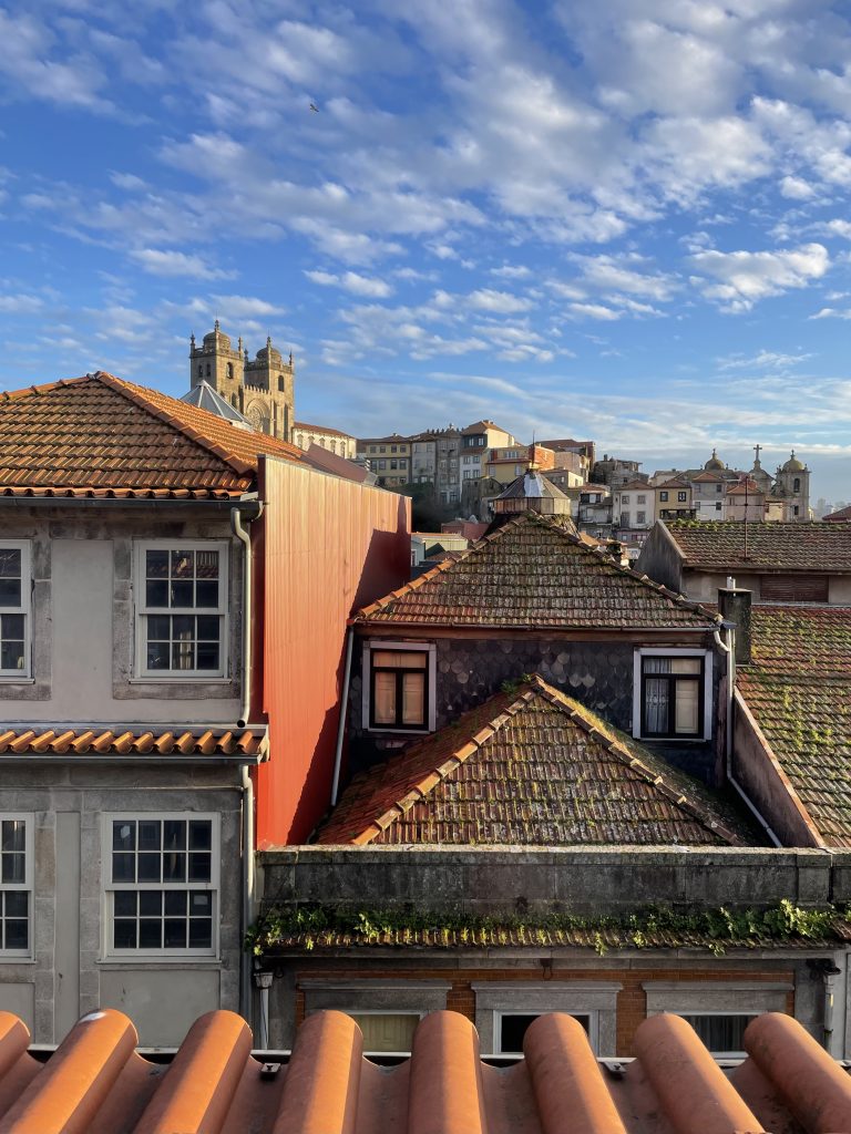 View from the Airbnb in Porto