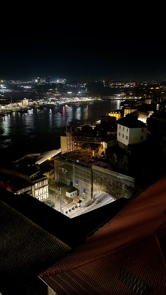 View from the Dom Luis I Bridge at night