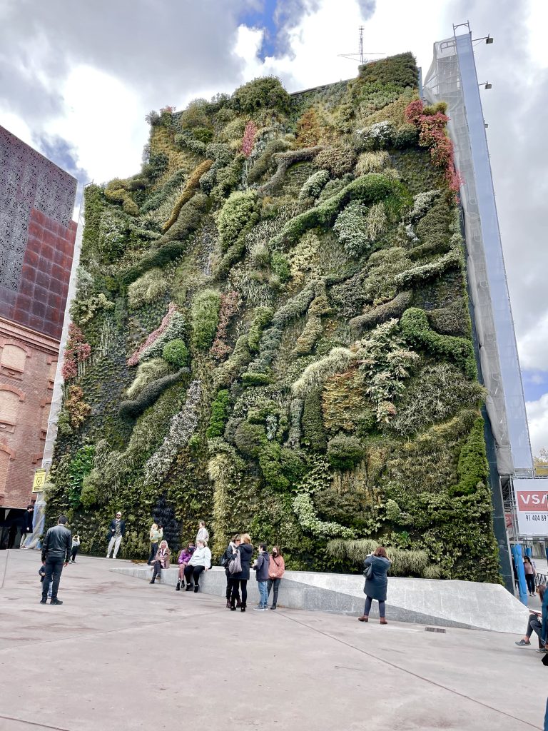CaixaForum vertical garden in Madrid