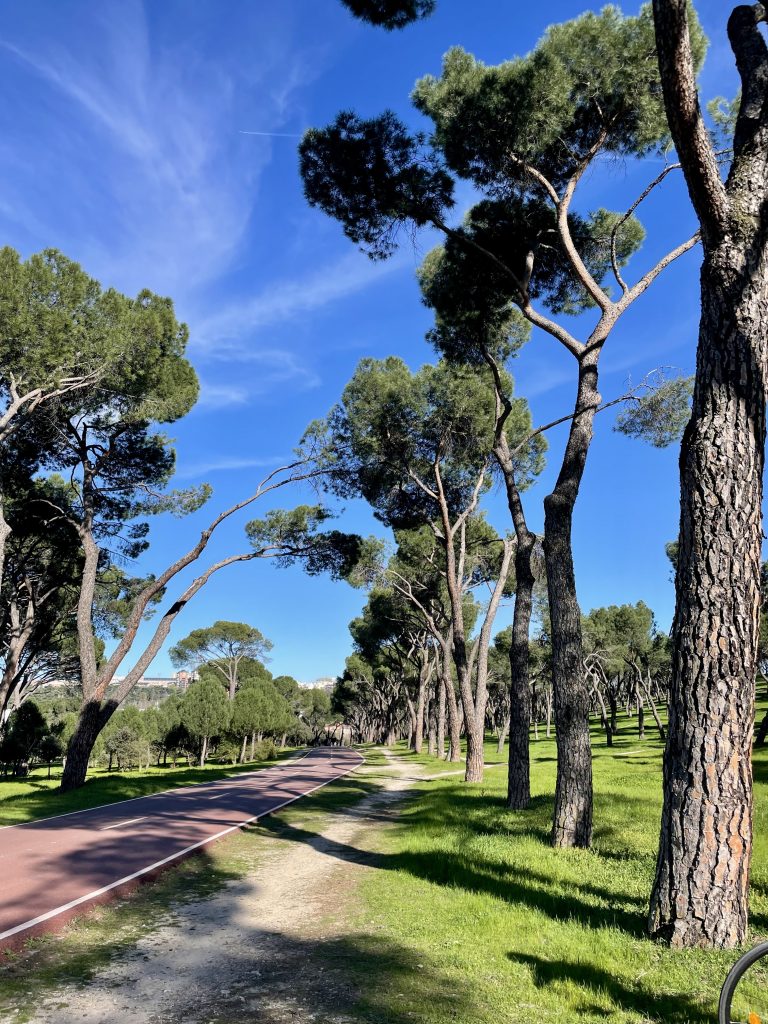 Casa de Campo in Madrid