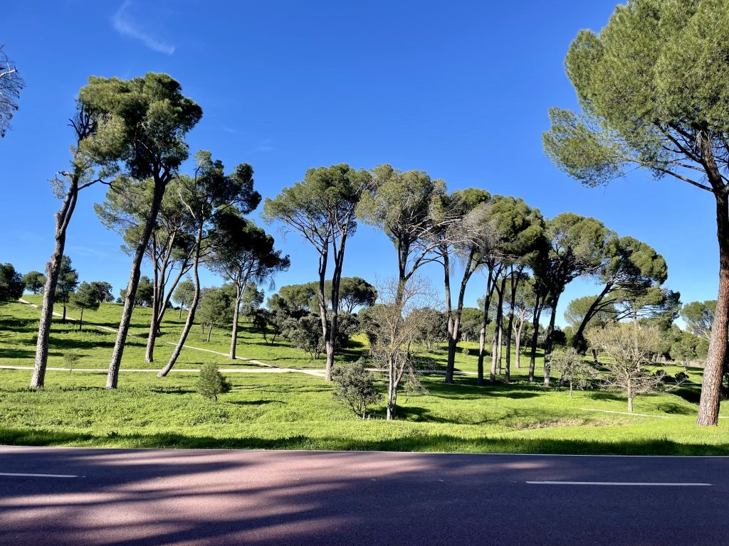 Casa de Campo on a sunny day.